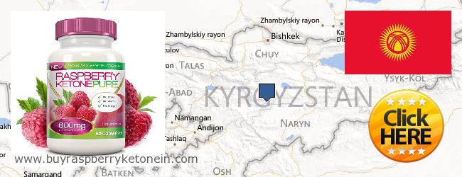 Dónde comprar Raspberry Ketone en linea Kyrgyzstan